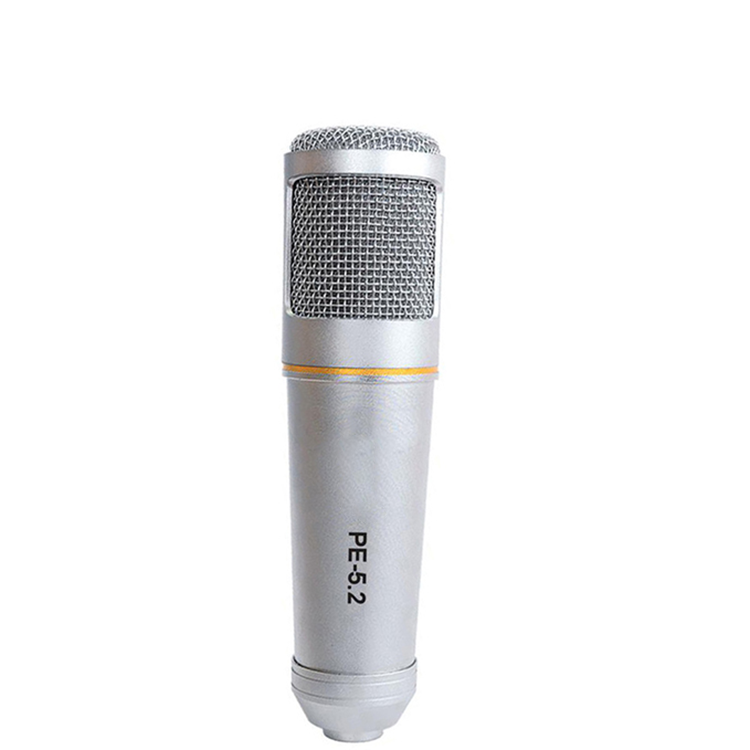 Musicgrin PE-5.2 Professional Performance/Interview Microphone