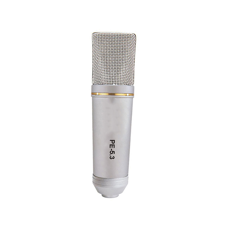 Musicgrin PE-5.3 Professional Performance/Interview Microphone