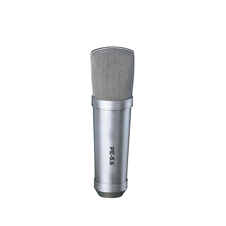 Musicgrin PE-5.6 Professional Performance/Interview Microphone